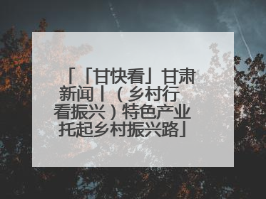 「甘快看」甘肃新闻丨（乡村行 看振兴）特色产业托起乡村振兴路