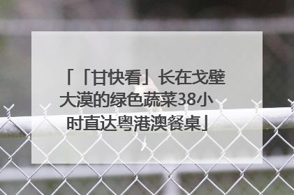 「甘快看」长在戈壁大漠的绿色蔬菜38小时直达粤港澳餐桌