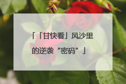 「甘快看」风沙里的逆袭“密码”