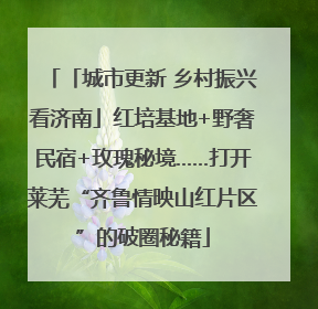 「城市更新 乡村振兴看济南」红培基地+野奢民宿+玫瑰秘境……打开莱芜“齐鲁情映山红片区”的破圈秘籍