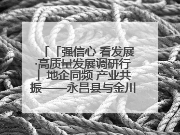 「强信心 看发展·高质量发展调研行」地企同频 产业共振——永昌县与金川集团地企融合推动重大项目建设