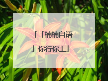 「楠楠自语」你行你上