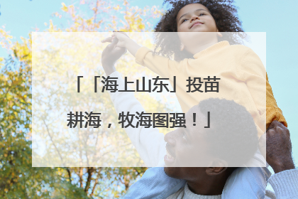 「海上山东」投苗耕海，牧海图强！