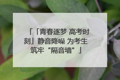「青春逐梦 高考时刻」静音降噪 为考生筑牢“隔音墙”
