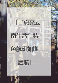 “点亮云南生活”特色航班如期启航