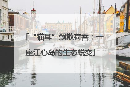 “猫耳”飘散荷香：一座江心岛的生态蜕变