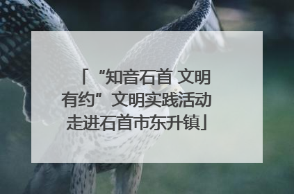 “知音石首 文明有约”文明实践活动走进石首市东升镇