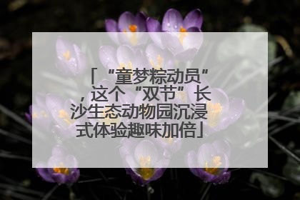 “童梦粽动员”，这个“双节”长沙生态动物园沉浸式体验趣味加倍