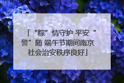 “粽”情守护 平安“警”随 端午节期间南京社会治安秩序良好