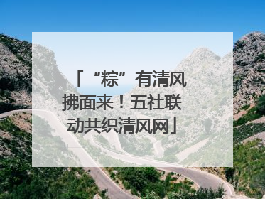 “粽”有清风拂面来！五社联动共织清风网