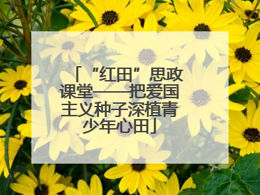 “红田”思政课堂——把爱国主义种子深植青少年心田