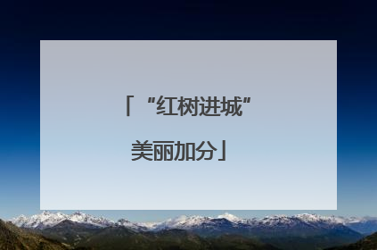 “红树进城” 美丽加分