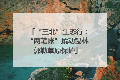 “三北”生态行：“两笔账”撬动锡林郭勒草原保护