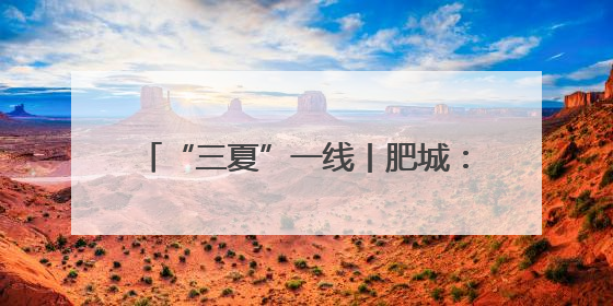 “三夏”一线丨肥城：探索“菌果蔬”轮作模式 助力农民增收致富