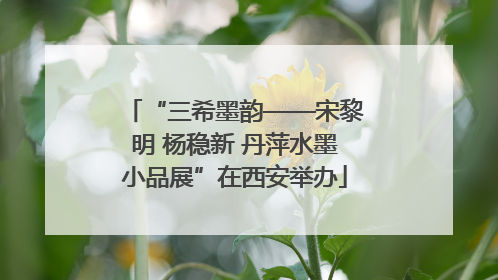 “三希墨韵——宋黎明 杨稳新 丹萍水墨小品展”在西安举办