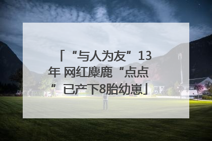 “与人为友”13年 网红麋鹿“点点”已产下8胎幼崽