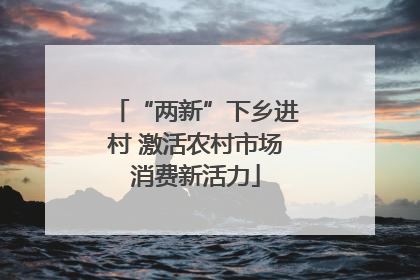 “两新”下乡进村 激活农村市场消费新活力