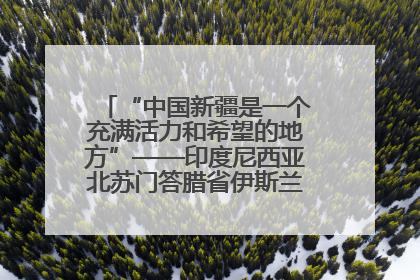 “中国新疆是一个充满活力和希望的地方”——印度尼西亚北苏门答腊省伊斯兰教代表团参访新疆