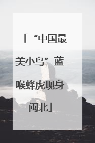 “中国最美小鸟”蓝喉蜂虎现身闽北