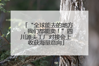 “全球能去的地方，我们都能卖！”四川源头工厂对接会上收获海量意向
