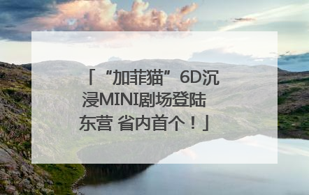 “加菲猫”6D沉浸MINI剧场登陆东营 省内首个！