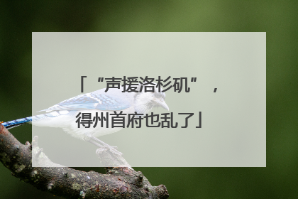 “声援洛杉矶”，得州首府也乱了