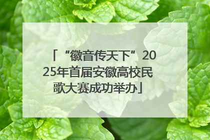 “徽音传天下”2025年首届安徽高校民歌大赛成功举办