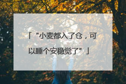 “小麦都入了仓，可以睡个安稳觉了”