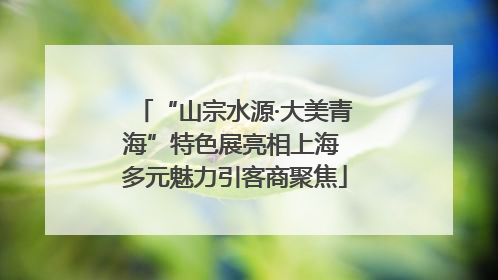 “山宗水源·大美青海”特色展亮相上海 多元魅力引客商聚焦