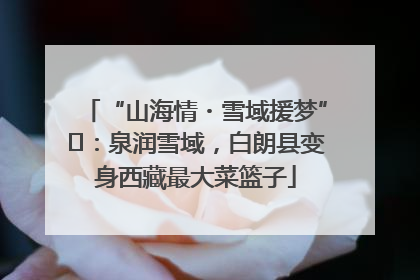 “山海情・雪域援梦”⑪：泉润雪域，白朗县变身西藏最大菜篮子