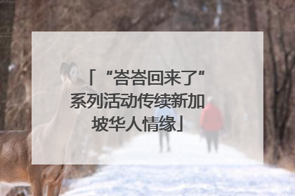 “峇峇回来了”系列活动传续新加坡华人情缘