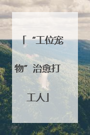 “工位宠物”治愈打工人