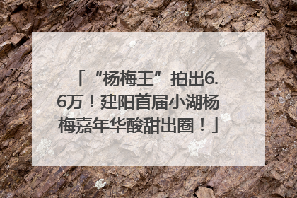“杨梅王”拍出6.6万！建阳首届小湖杨梅嘉年华酸甜出圈！