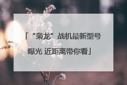 “枭龙”战机最新型号曝光 近距离带你看