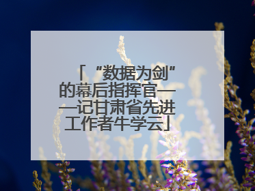 “数据为剑”的幕后指挥官——记甘肃省先进工作者牛学云