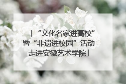 “文化名家进高校”暨“非遗进校园”活动走进安徽艺术学院