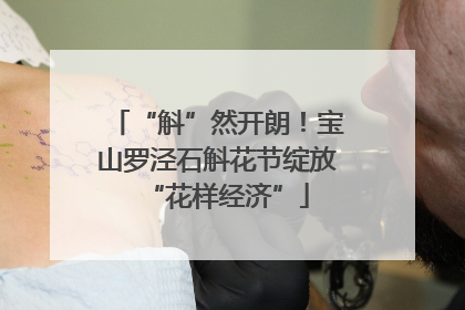 “斛”然开朗！宝山罗泾石斛花节绽放“花样经济”