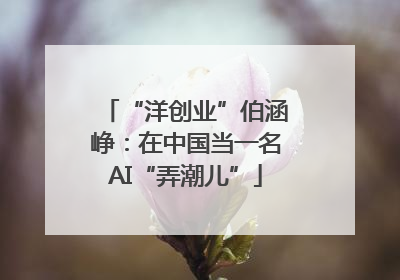 “洋创业”伯涵峥：在中国当一名AI“弄潮儿”