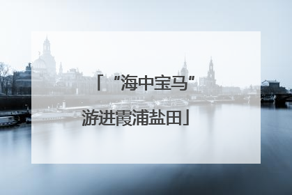 “海中宝马”游进霞浦盐田