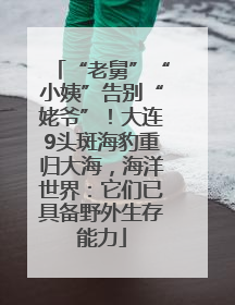“老舅”“小姨”告别“姥爷”！大连9头斑海豹重归大海，海洋世界：它们已具备野外生存能力
