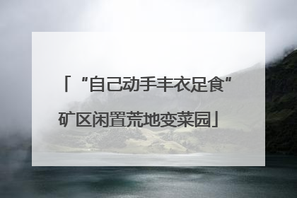 “自己动手丰衣足食”矿区闲置荒地变菜园