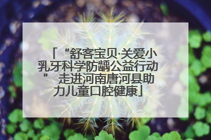 “舒客宝贝·关爱小乳牙科学防龋公益行动” 走进河南唐河县助力儿童口腔健康