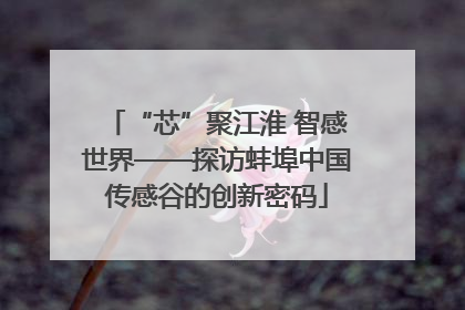 “芯”聚江淮 智感世界——探访蚌埠中国传感谷的创新密码