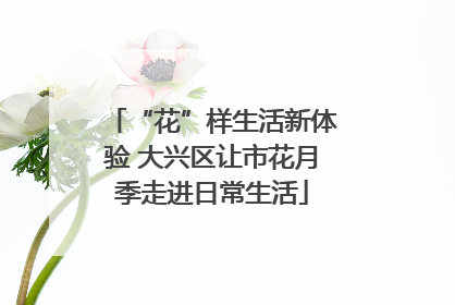 “花”样生活新体验 大兴区让市花月季走进日常生活