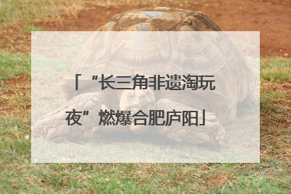 “长三角非遗淘玩夜”燃爆合肥庐阳