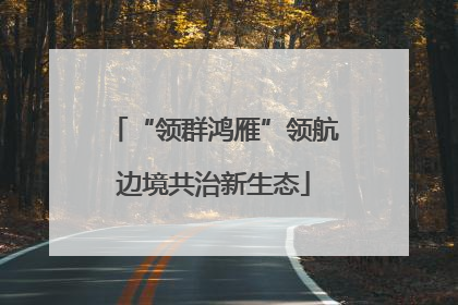 “领群鸿雁”领航边境共治新生态