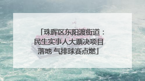 珠晖区东阳渡街道：民生实事人大票决项目落地 气排球赛点燃