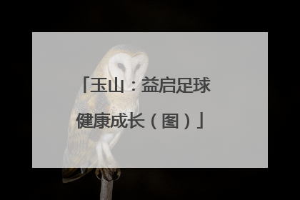 玉山：益启足球 健康成长（图）