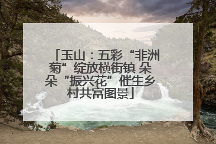 玉山：五彩“非洲菊”绽放横街镇 朵朵“振兴花”催生乡村共富图景
