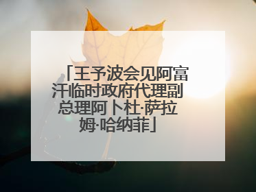 王予波会见阿富汗临时政府代理副总理阿卜杜·萨拉姆·哈纳菲